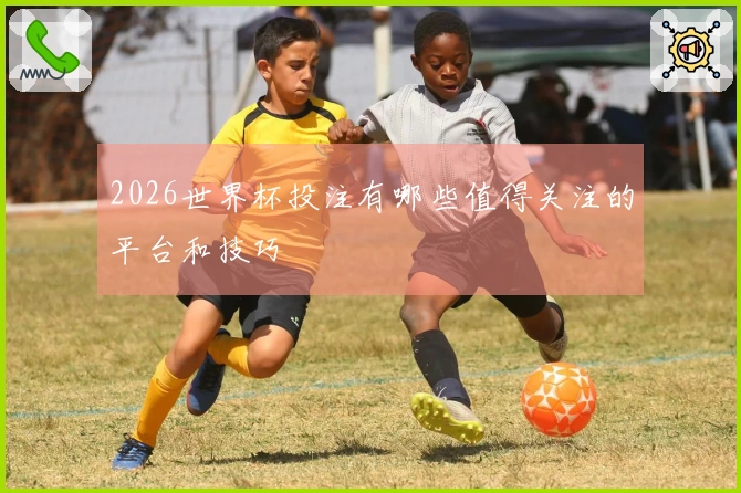 2026世界杯投注有哪些值得关注的平台和技巧